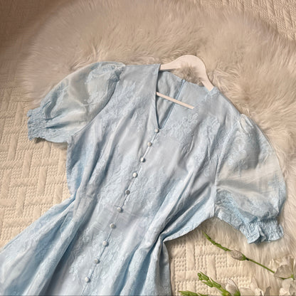 Gorgeous embroidered dress