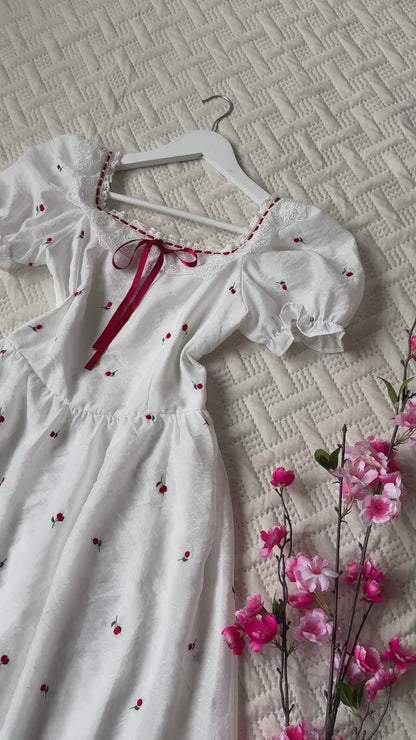 Gorgeous embroidered dress